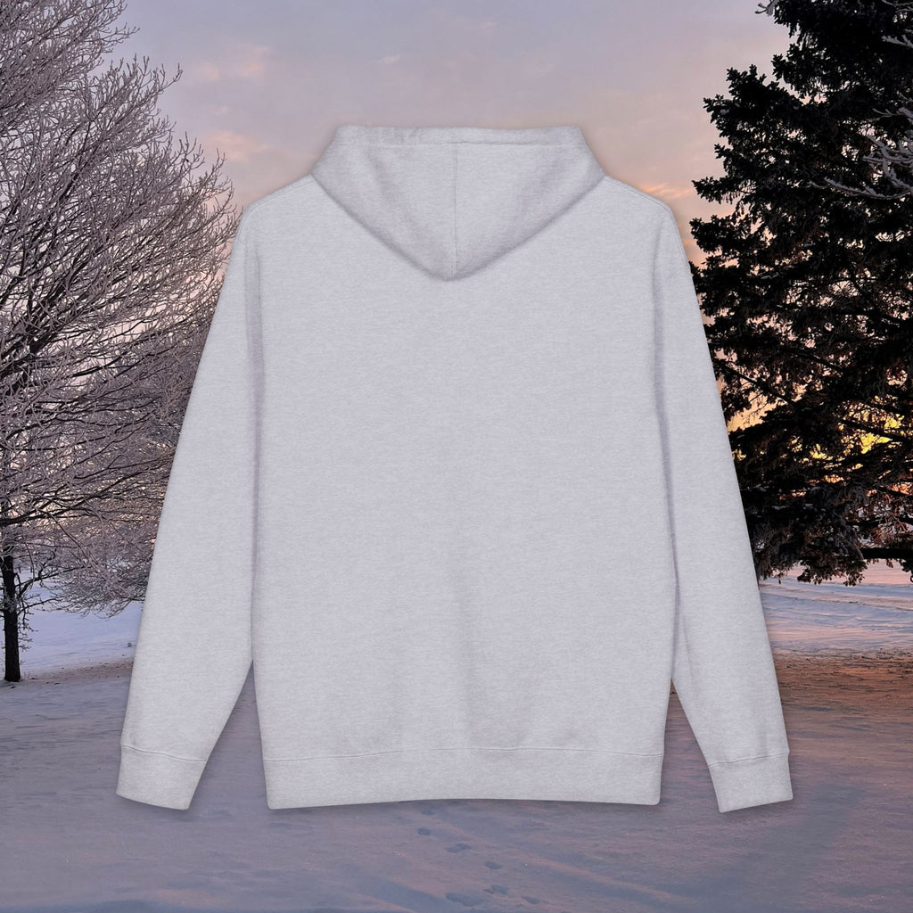 Core Hoodie - heavyweight