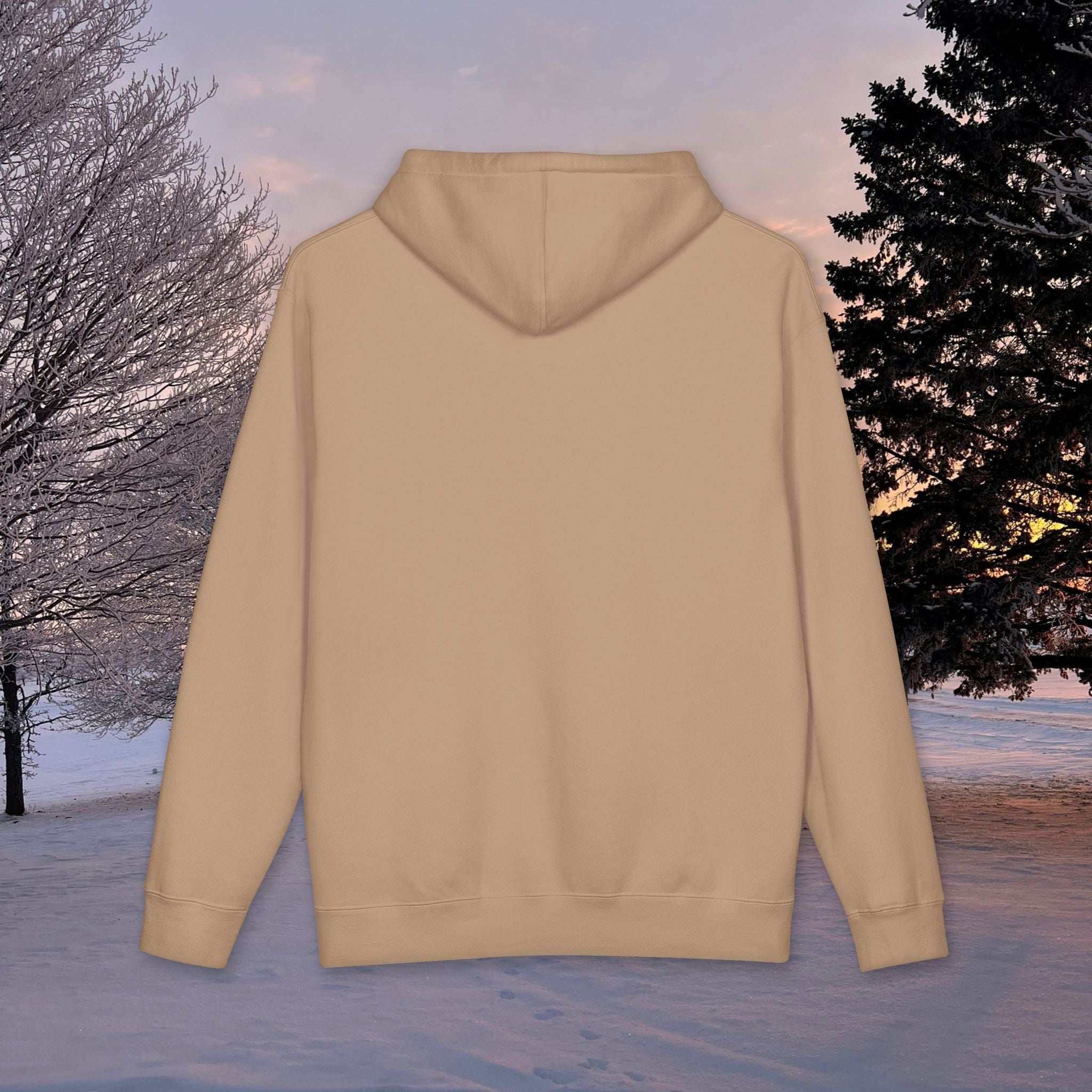 Core Hoodie - heavyweight